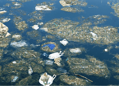 Japan's environmental problems brought by high economic growth