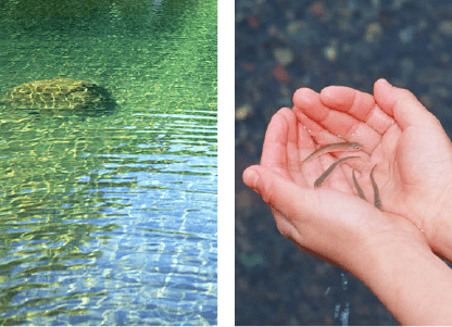 Protecting the water environment by widespread of Johkasou(STP)